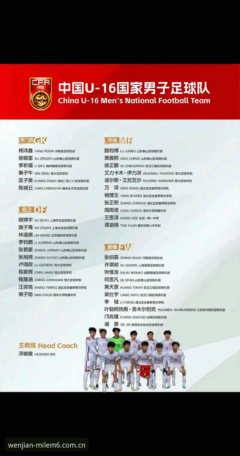U17世界杯分组全面解析：中国男女足前景与赛事数据深度观察